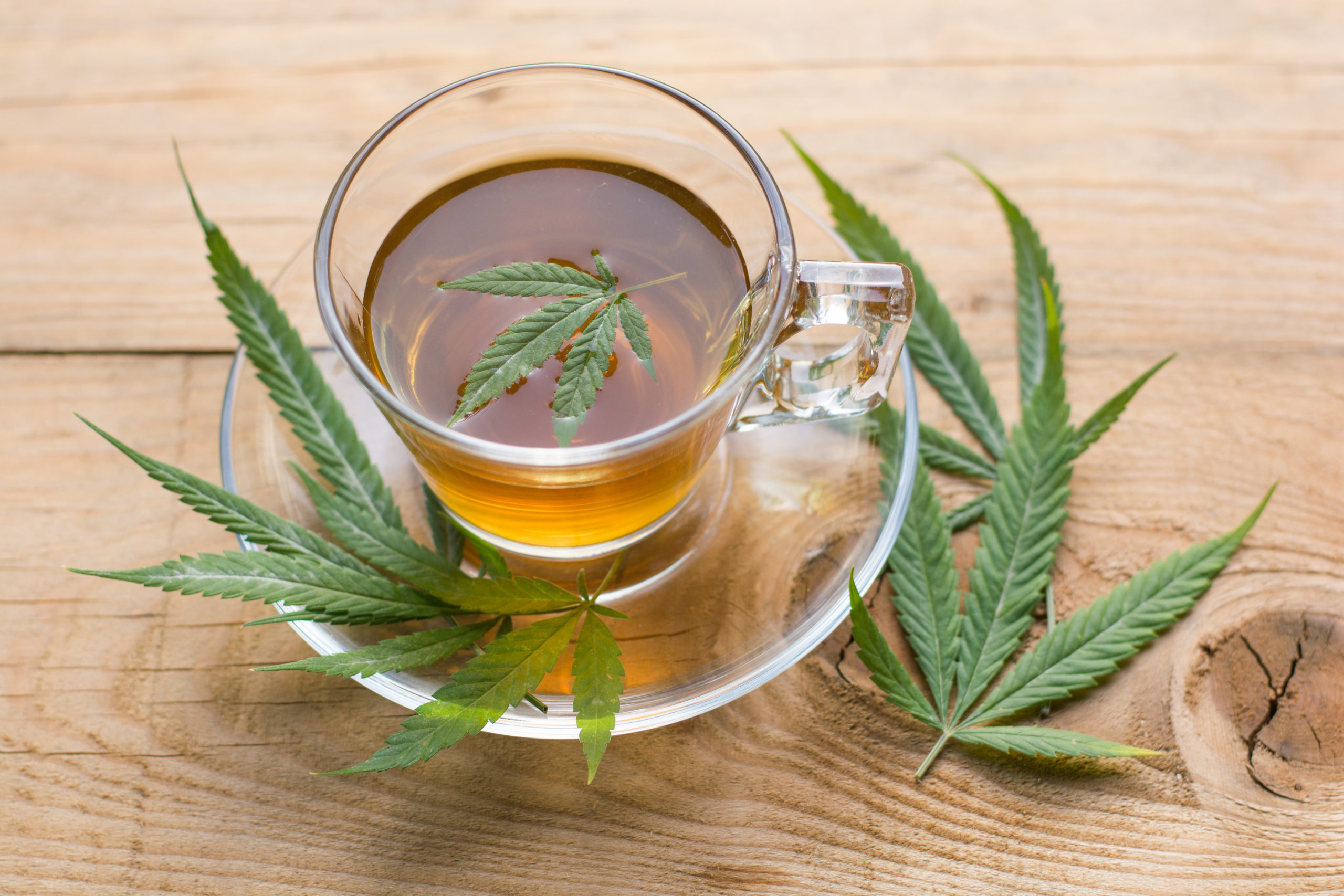 Should We be Drinking Cannabis Tea? - Cannabis Care Team